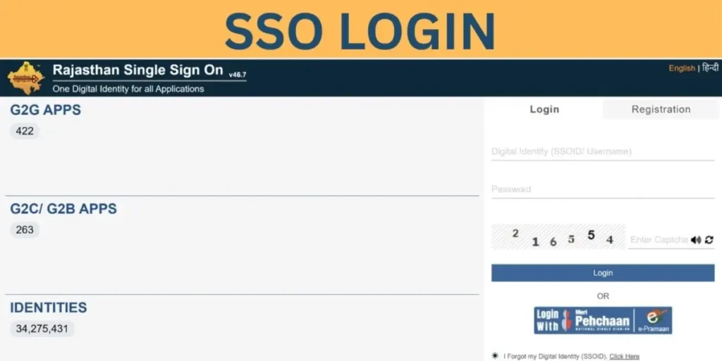 sso login
